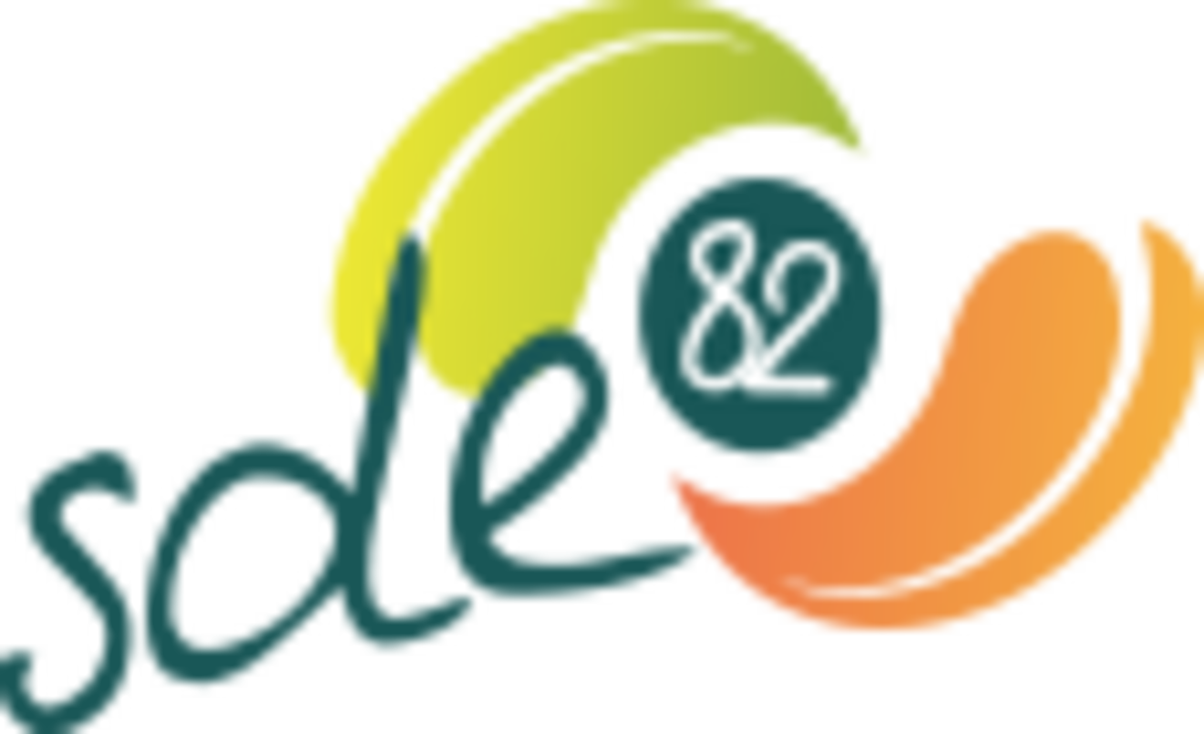 Logo du Sundicat des Energies