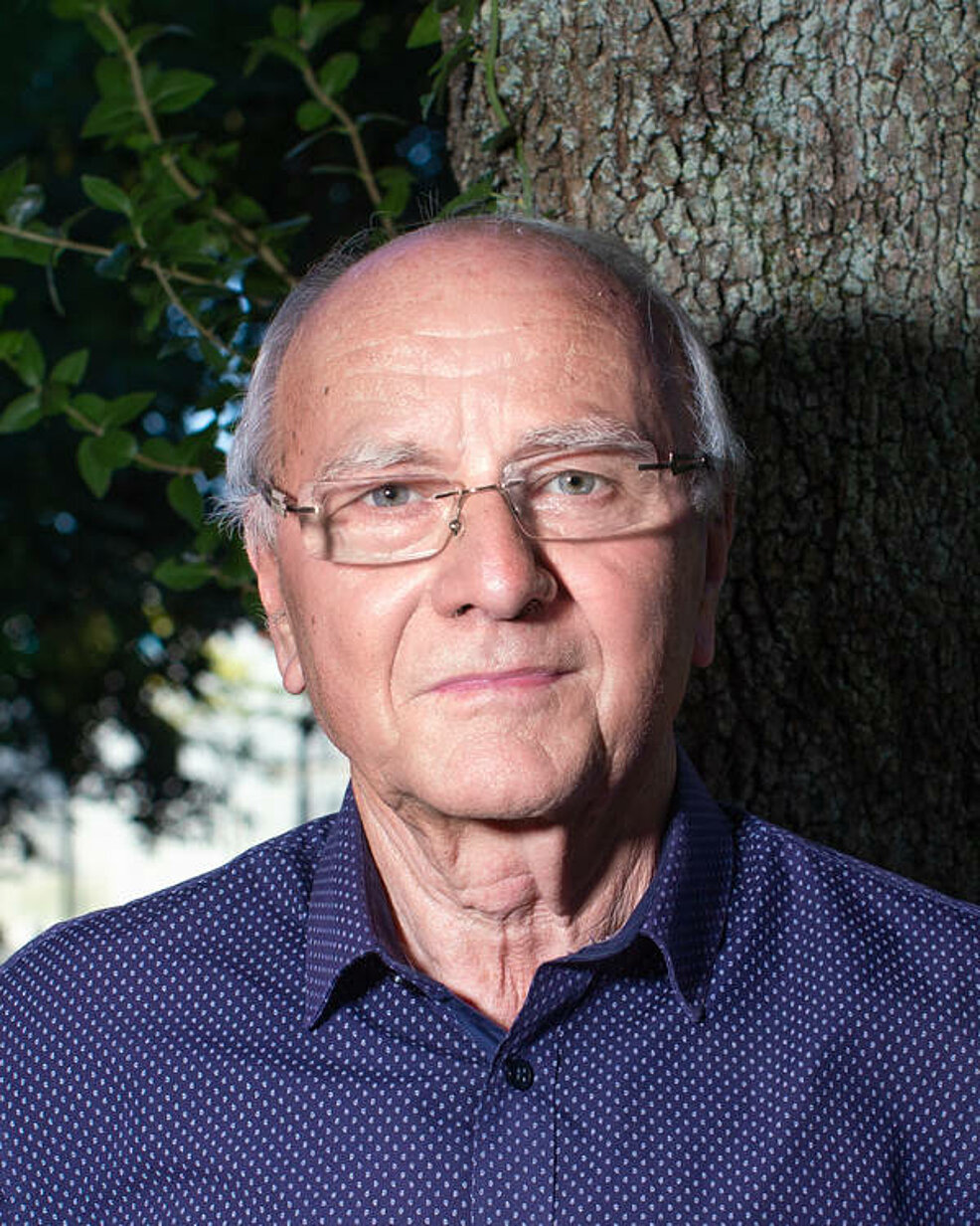 François Purcha